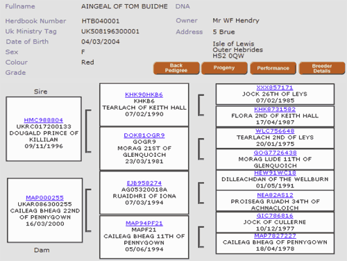 Pedigree details from Highland Cattle Society Database