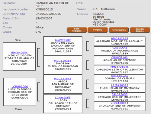 Pedigree details from Highland Cattle Society Database
