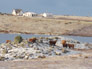 Click image to enlarge