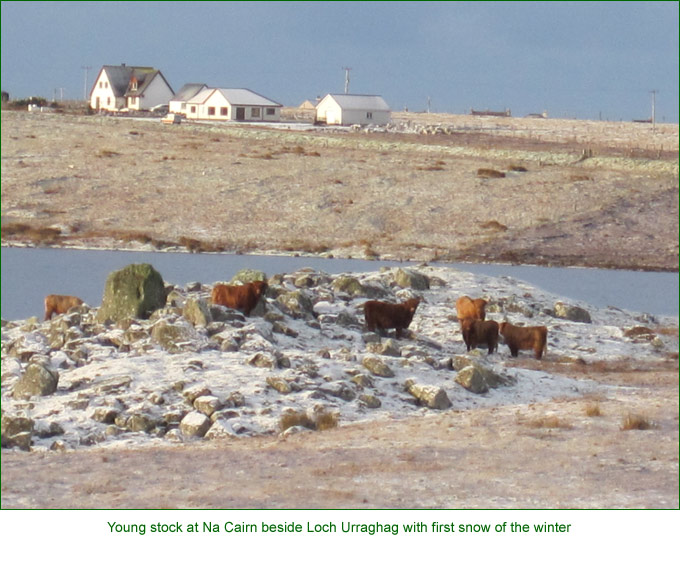 October 2011