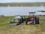 Calum Angus collecting mini bales for wrapping