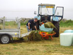 Calum Angus making mini bale silage
