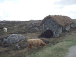 Day 2 at Finsbay, Harris for filming of Harris Tweed documentary