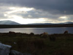 Cattle grazing as light falls over Loch Urraghag