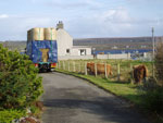 First winter hay arrives