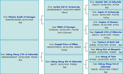 Pedigree of Crusoe of Brue