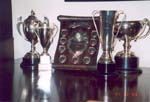 2003 Trophies won for cattle & sheep at West Side Agricultural Show