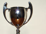 The Old Barvas Show Cup - highest points in cattle & sheep sections